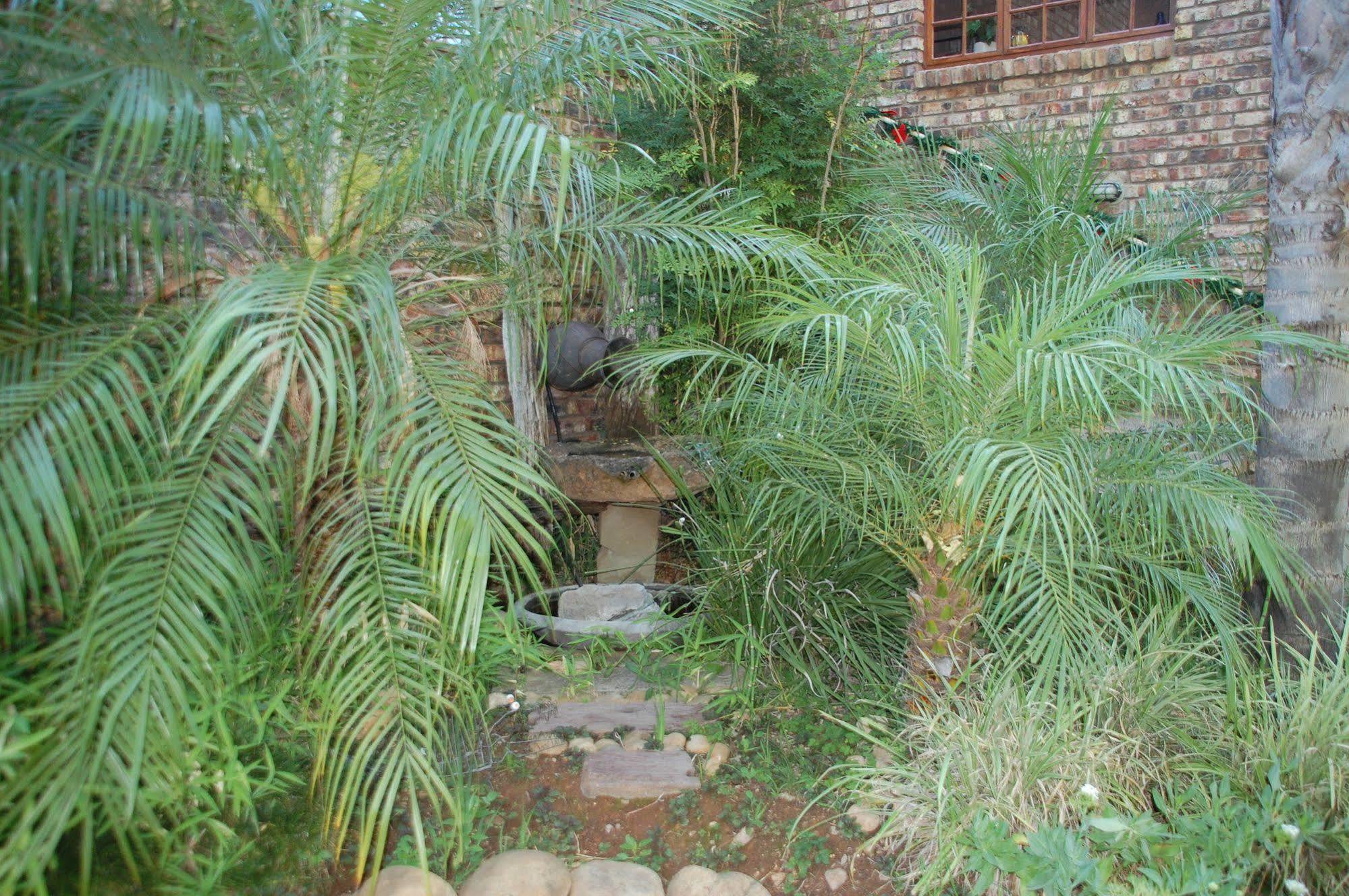 De Poort Country Lodge Oudtshoorn Exterior foto