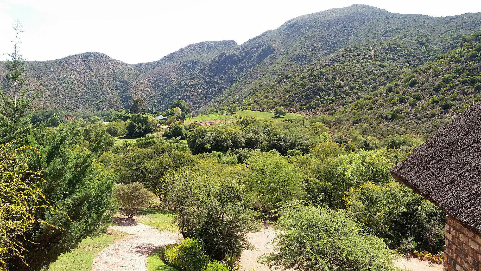 De Poort Country Lodge Oudtshoorn Exterior foto